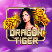 Dragon Tiger Tableplus Link Live